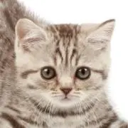 みい♡プロフご確認ください♡の画像