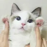 なっちょん