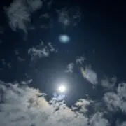 めいんの画像