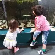 かな♡の画像