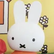 たまの画像