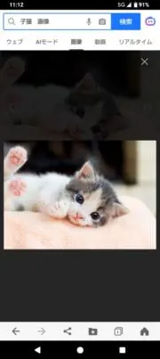 猫ちゃん❤アクセの画像