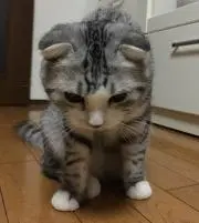 もっちゃん先生