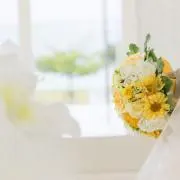 Nanasuの画像
