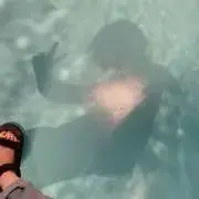 ぺっぺぺー