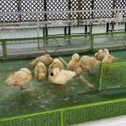 ゆうたの画像