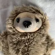りんこ断捨離中♫