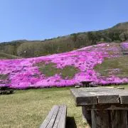 ササノハ