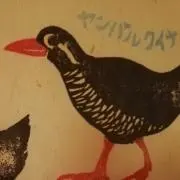 クイナ☆の画像