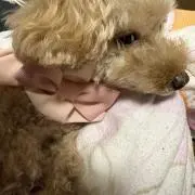 まりんここの画像