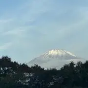 8/12〜17発送不可⚠️のどぐろの画像