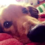 みちゃんの画像