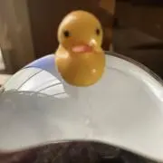 ひまわり