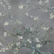 tamaの画像