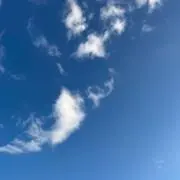 なおの画像