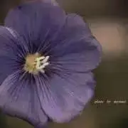 ゆきののの画像