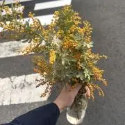 eriの画像