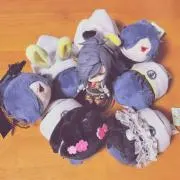 飛鳥の画像