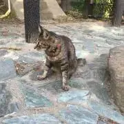 じゅな(断捨離中)