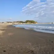 どんぐり