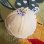 すぃせーの画像