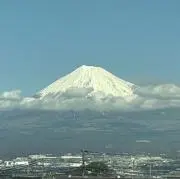 TOMMYの画像