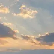 238の画像