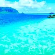 Top-Gの画像