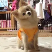 タキュ