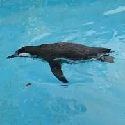 なか。の画像