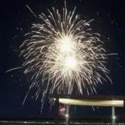 楪涼香の画像