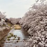 aka WSの画像