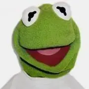 Tの画像