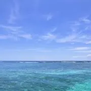 マイスター