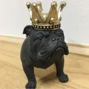 チャミーの画像