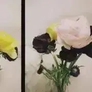 きむち秘書