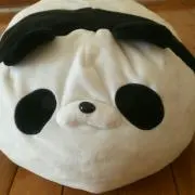 ゆきの