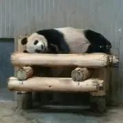 とも