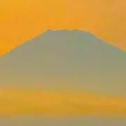 Boonの画像