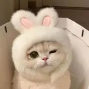 ♡