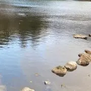 かくの画像