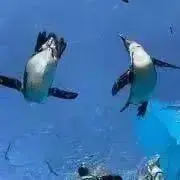n プロフ見てください！の画像