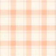 みかんの画像