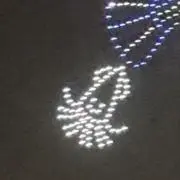 いかの画像