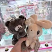 しろの画像
