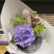 ジジの画像