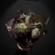ぱぱぱの画像