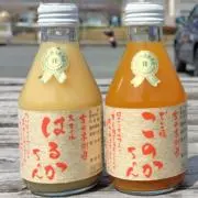 TBCの画像