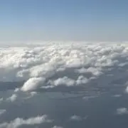 しょうくんパパの画像