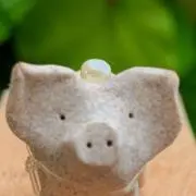 パールforピッグの画像
